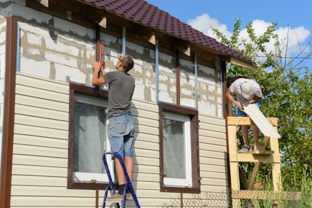Best Custom Trim and Detailing for Siding  in Deming, NM